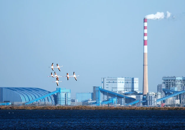 Boiler Inspection Service Thumbnail