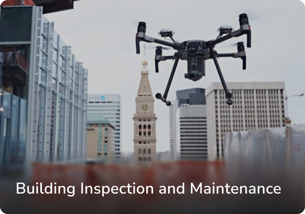 Building Inspection and Maintenance Service Thumbnail
