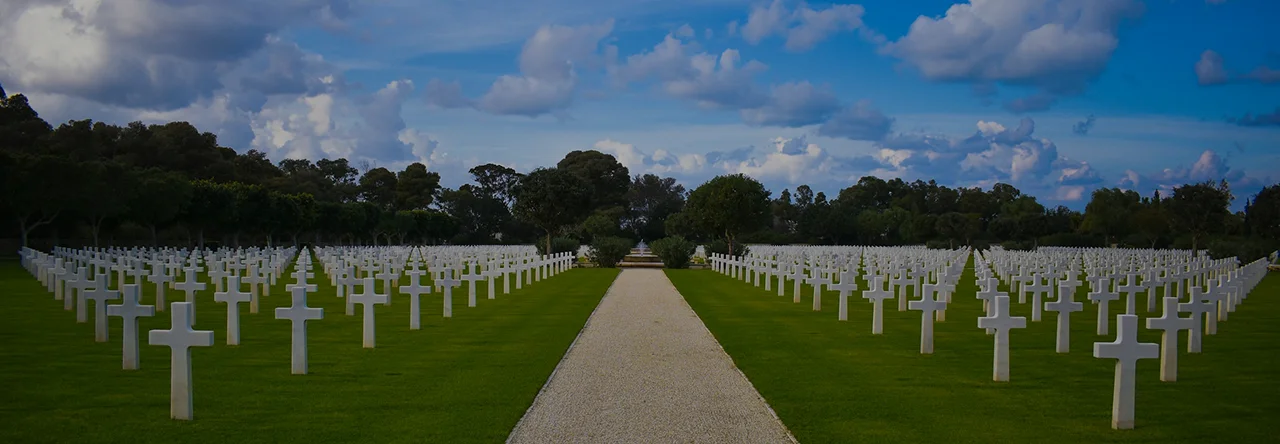 Professional Services for Cemetery Management and Planning - Detailed View