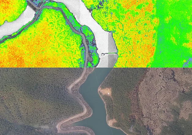 Forest Management Service Thumbnail