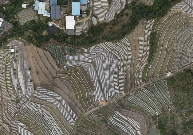 Land-cover and Land-use Change Service Thumbnail