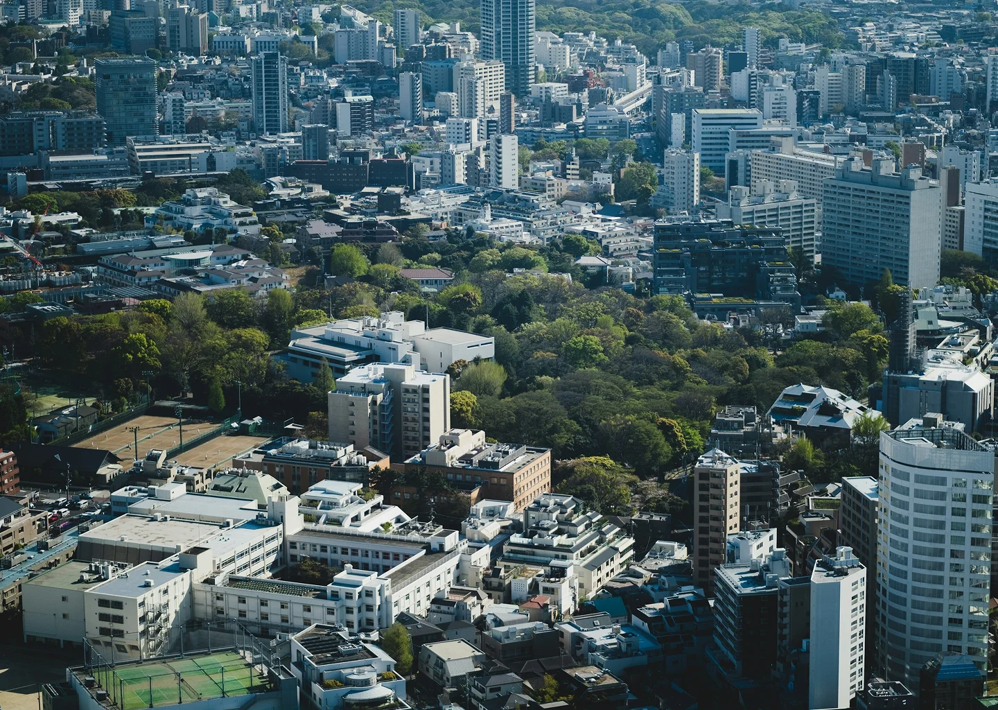 Urban Planning - Service Detail