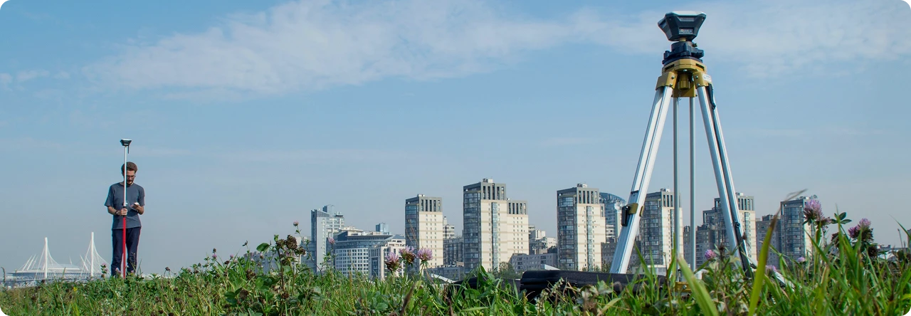 Professional Services for Surveying - Detailed View